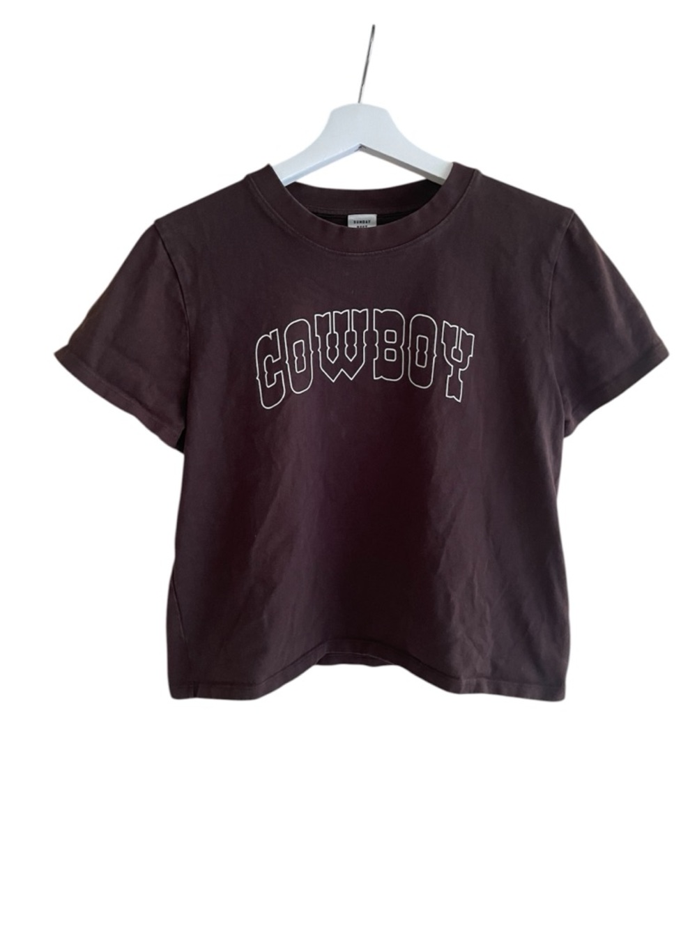 Sunday Best Aritzia Brown Cowboy Baby Tee Graphic Crop Coastal Cowgirl Size L